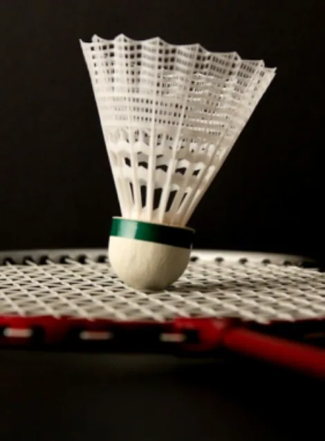 A shuttlecock resting on the strings of a badminton racket.